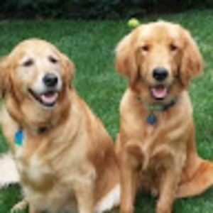 Meet your Posher, Tracey